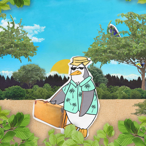 De Santa Marta a Bogotá