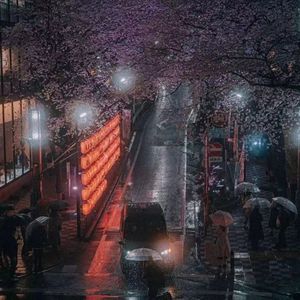 poor love233（Prod.Ounce_X）