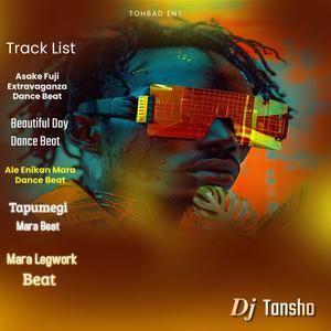 Beautiful Day Dance Beat