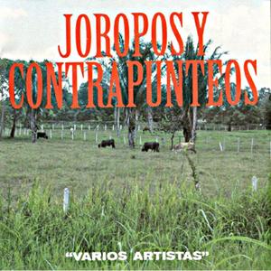 Guindando en una Cuerdita