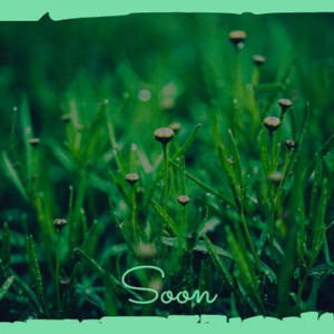 Soon