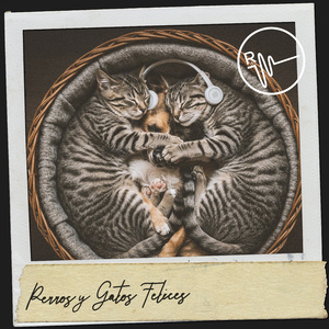 Encantadores sueños de ascuas