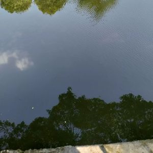 今天平稳得没有波澜