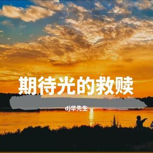 我想做一个梦给你Dj