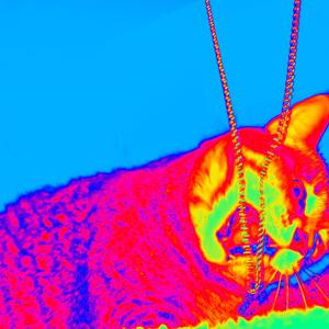 TOUGH (feat. Mir Blackwell)