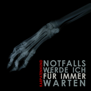 Notfalls Werde Ich Für Immer Warten (Hauskatzen Remix)