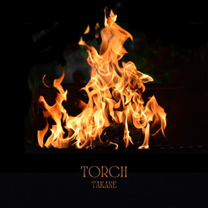 Torch