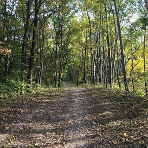 Distant Light Pierces The Darkness