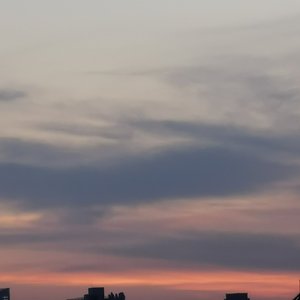 空山新雨后