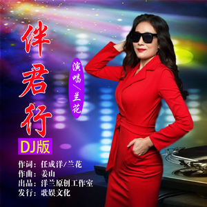 伴君行 (DJ版)