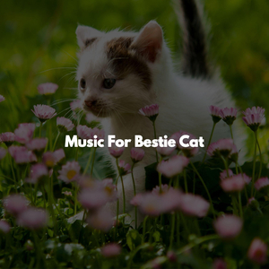 Dream Like Blissful Weeks