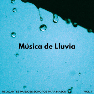 Lluvia Mojada