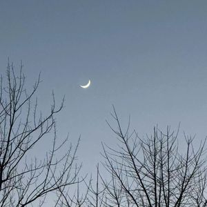 称为(cover 黄子弘凡)