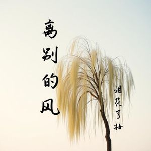 离别的风