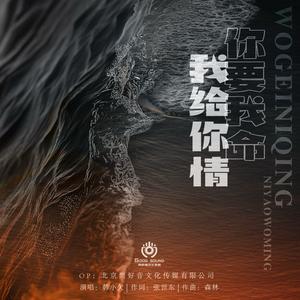 我给你情你要我命 (DJ阿远版)