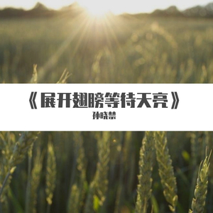 展开翅膀等待天亮