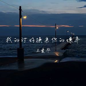 我的讨好换来你的嫌弃