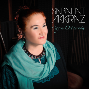 Çayın Ortasında Yılgın Adası