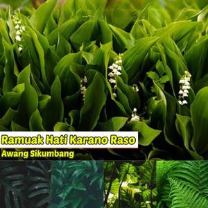 Ramuak Hati Karano Raso