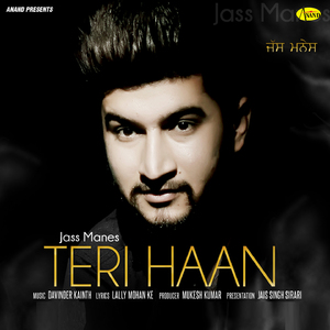 Teri Haan