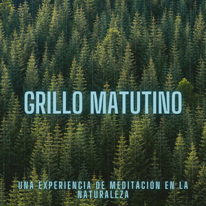 La Melodía De Los Grillos En Noches De Verano
