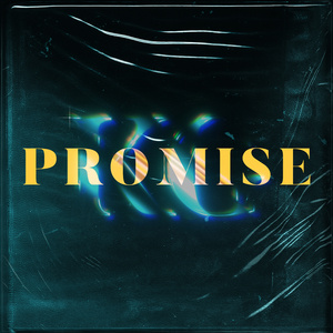 Promise