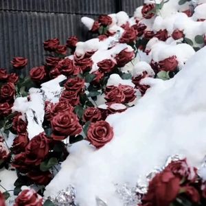 释怀总被掩埋（Prod.by BECU BEATZ）