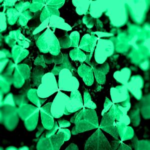 Shamrock Improvisation Nr.1
