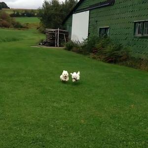 我流过太多眼泪