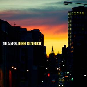 Looking For The Night