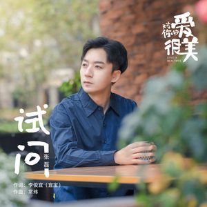 试问