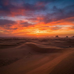 眼泪是写给海的信