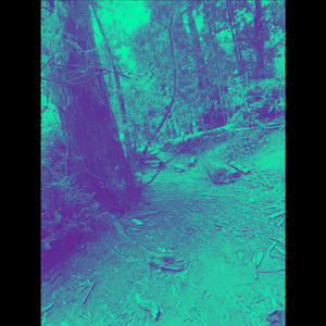 GETABAG