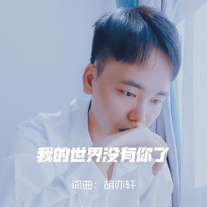 我的世界没有你了