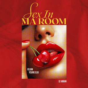 Sex in Ma Room