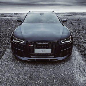 Beaver Audi (海狸奥迪)