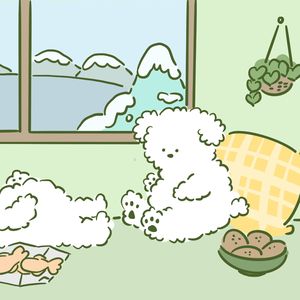 통통 튀는 통통한 내 뱃살 귀여움