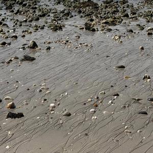 Sehrime gel ey nazlı yarim