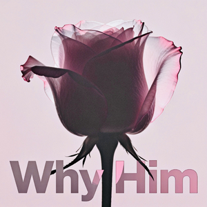 WHy HIm