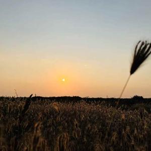 月色倒映在西湖