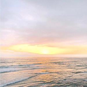 世界上不存在的歌