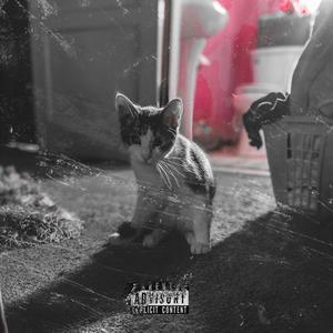 Trilla Zilla 2 (Interlude)