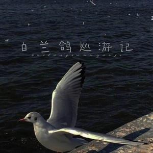 白兰鸽巡游记
