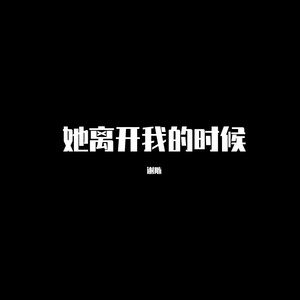 CoolZ-她离开我的时候(罗美薇版）