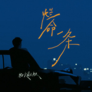 烂命一条 (DJ阿本版)