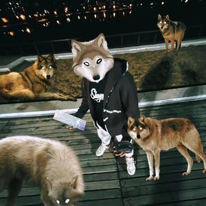 黑暗森林中的白色眼睛黑心狼