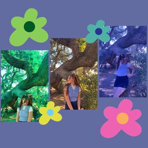 The Kite and the Line