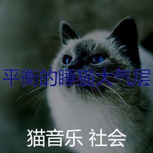 有趣小猫情怀