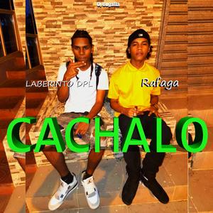 Cachalo
