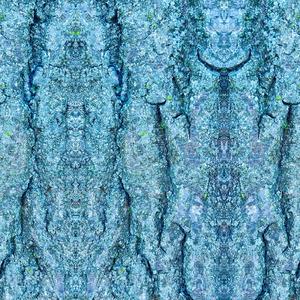 The Beast Shouts "take care of yourself"